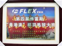 匯（huì）泰龍協辦第（dì）四屆佛雷斯“省港澳”杯羽毛球大賽